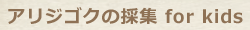 アリジゴクの採集 for Kids