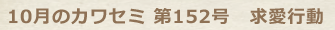 10月のカワセミ第152号 求愛行動
