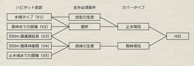 HSI