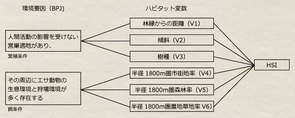 BPJによる生息条件とハビタット変数の関係 BPJによる生息条件とハビタット変数の関係