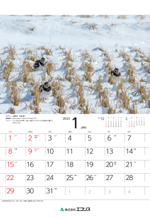 ecoris_calendar_2023_02.png