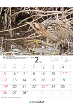 ecoris_calendar_2023_03.png