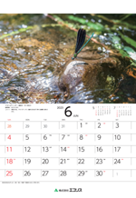 ecoris_calendar_2023_07.png