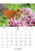 ecoris_calendar_2023_08.png