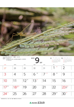 ecoris_calendar_2023_10.png