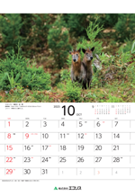 ecoris_calendar_2023_11.png