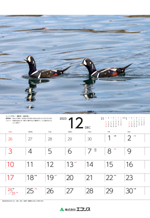 ecoris_calendar_2023_13.png