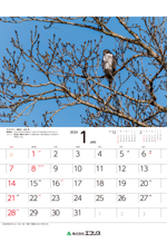 ecoris_calendar_2024_02.png