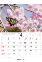 ecoris_calendar_2024_05.png