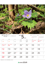 ecoris_calendar_2024_06.png