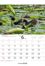 ecoris_calendar_2024_07.png