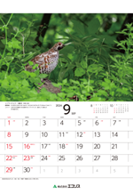 ecoris_calendar_2024_10.png