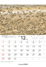 ecoris_calendar_2024_13.png