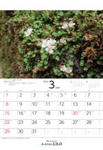 ecoris_calendar_2026_03.png
