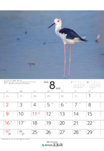 ecoris_calendar_2026_08.png