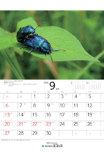 ecoris_calendar_2026_09.png