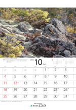 ecoris_calendar_2026_10.png