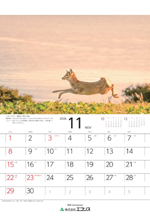 ecoris_calendar_2026_11.png