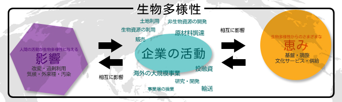 企業活動と、生物多様性の恵みと影響 企業活動と、生物多様性の恵みと影響