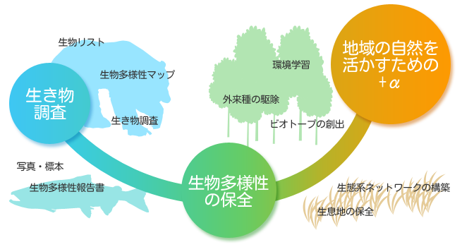 地域の自然を知り、守り、活かす