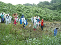 水辺での動植物の観察会