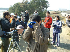 干潟での鳥類の観察会