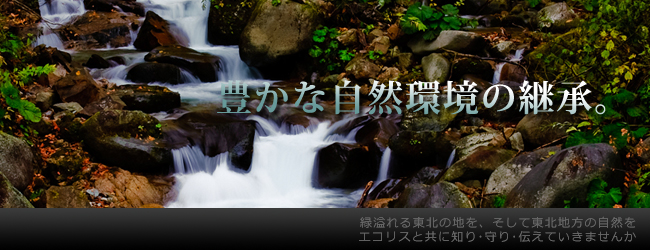 創造と継承。緑溢れる東北の地を、そして東北地方の自然を、エコリスと共に知り・守り・伝えていきませんか