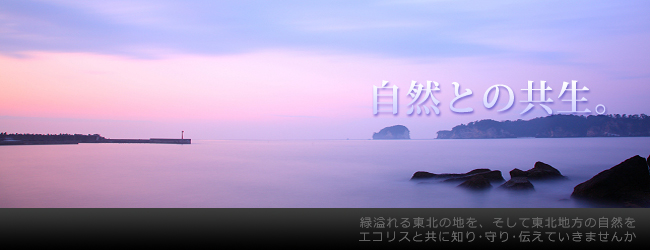 自然との共生。緑溢れる東北の地を、そして東北地方の自然を、エコリスと共に知り・守り・伝えていきませんか