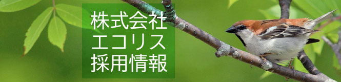 株式会社エコリス採用情報 株式会社エコリス採用情報
