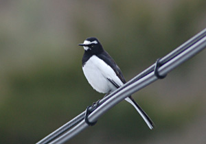 image002.jpg