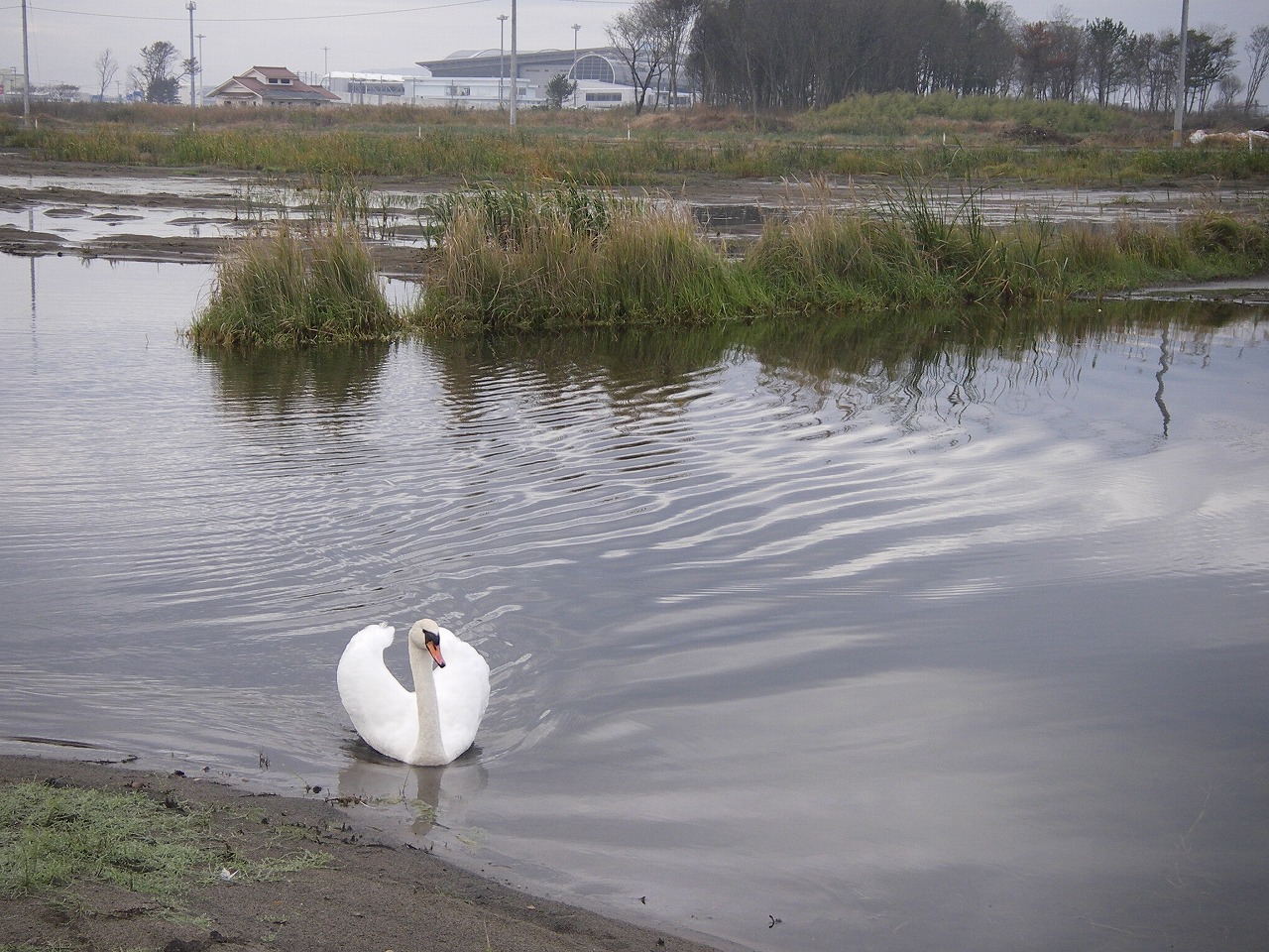 image001.jpg