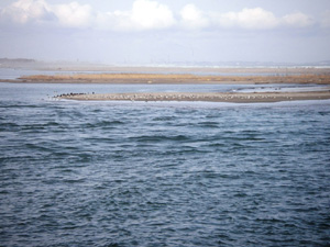 image001.jpg