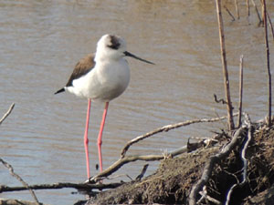 image005.jpg