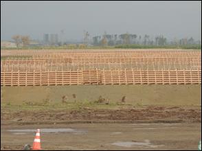 写真-9　2013年6月22日（防潮林用地盛土、防風柵設置）